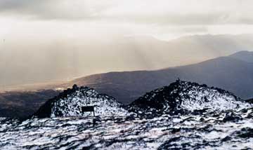 winter photo 2 cairns