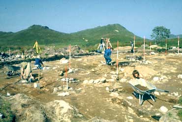 House remains from Borg