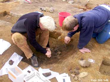 dig at Borg House Site