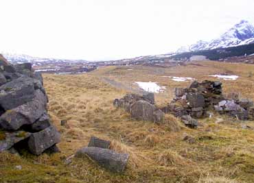 Farm Ruins