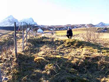 Medieval Sites