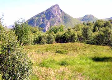 Burial Mound