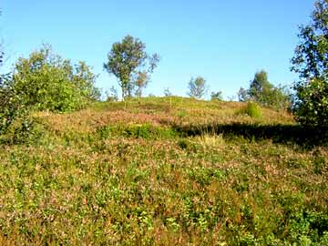 Borg Burial Mound