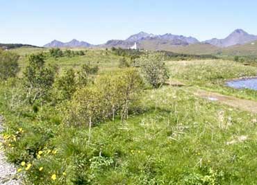 Burial Mound and Farm Mound