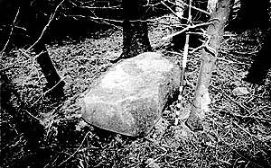 rock carving