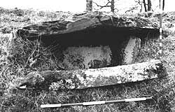 Poltalloch- cyst