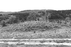 ballymeanoch dun