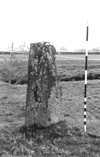 standing stone - dunadd
